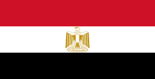 ეგვიპტეში საკონსტიტუციო რეფერენდუმის შედეგების დათვლა დაიწყო